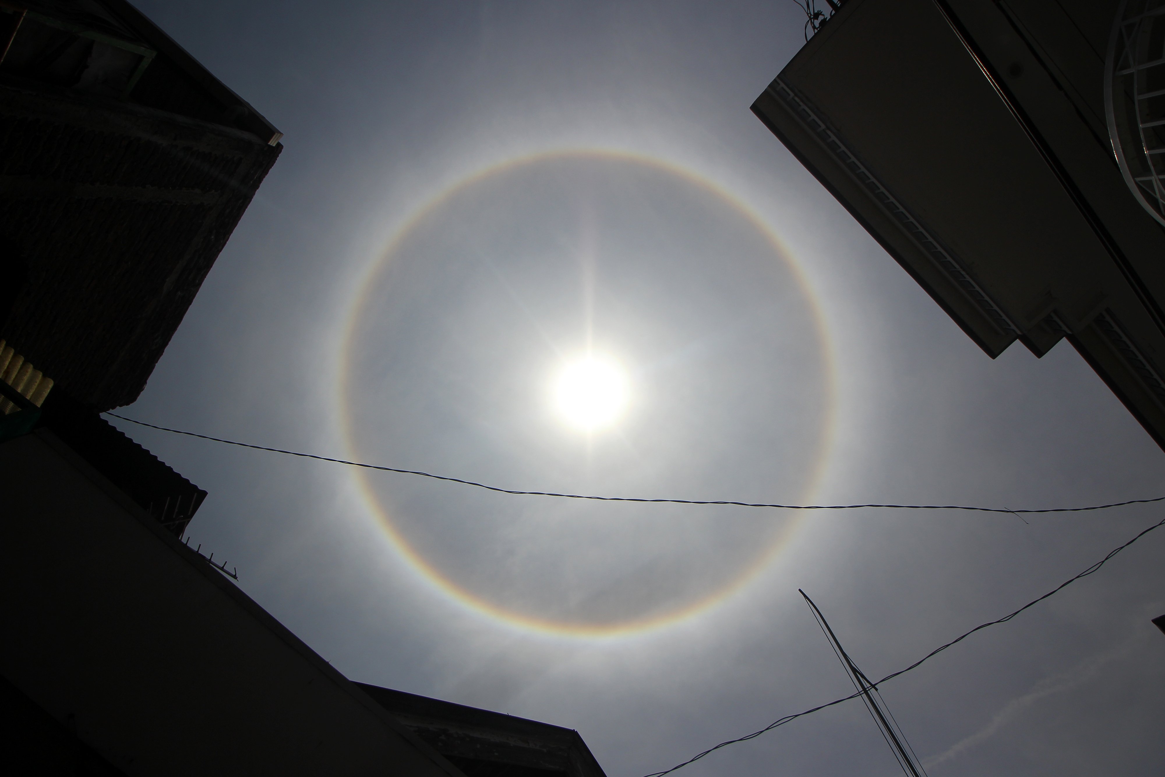 Fenomena halo matahari terlihat di Surabaya, Jawa Timur.