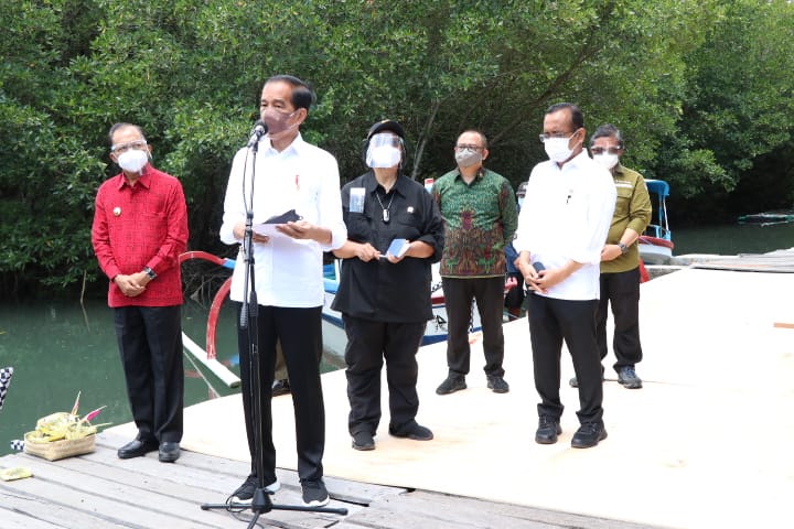 Presiden Joko Widodo di Pusat Konservasi Mangrove Bali