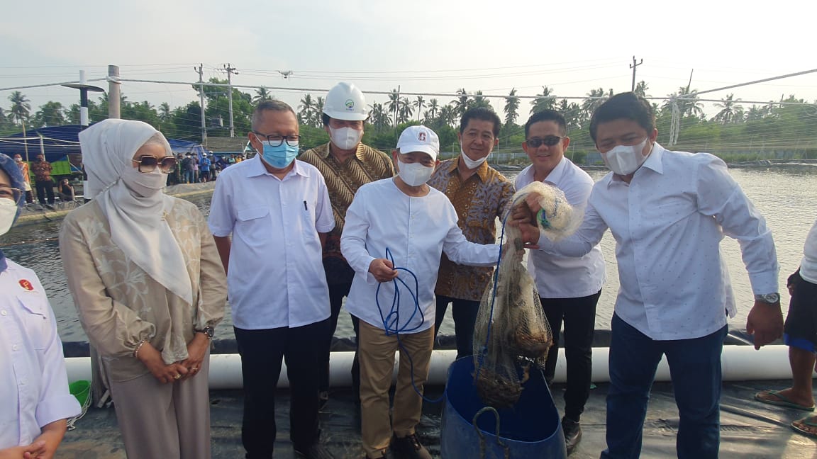 Menteri PPN / Kepala Bappenas Suharso Monoarfa (tengah, baju koko putih depan mike) saat Ground Breaking Tambak Udang Terintegrasi.