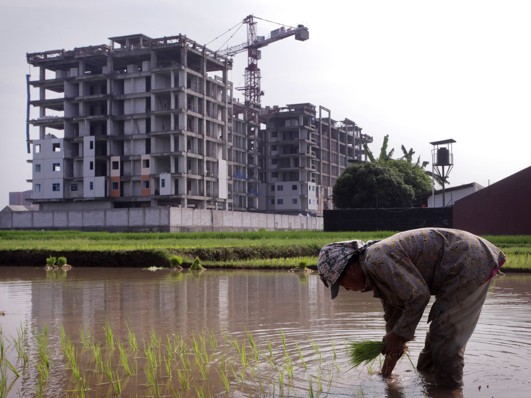 Sri Sultan: Sleman Harus Batasi Permukiman Horizontal