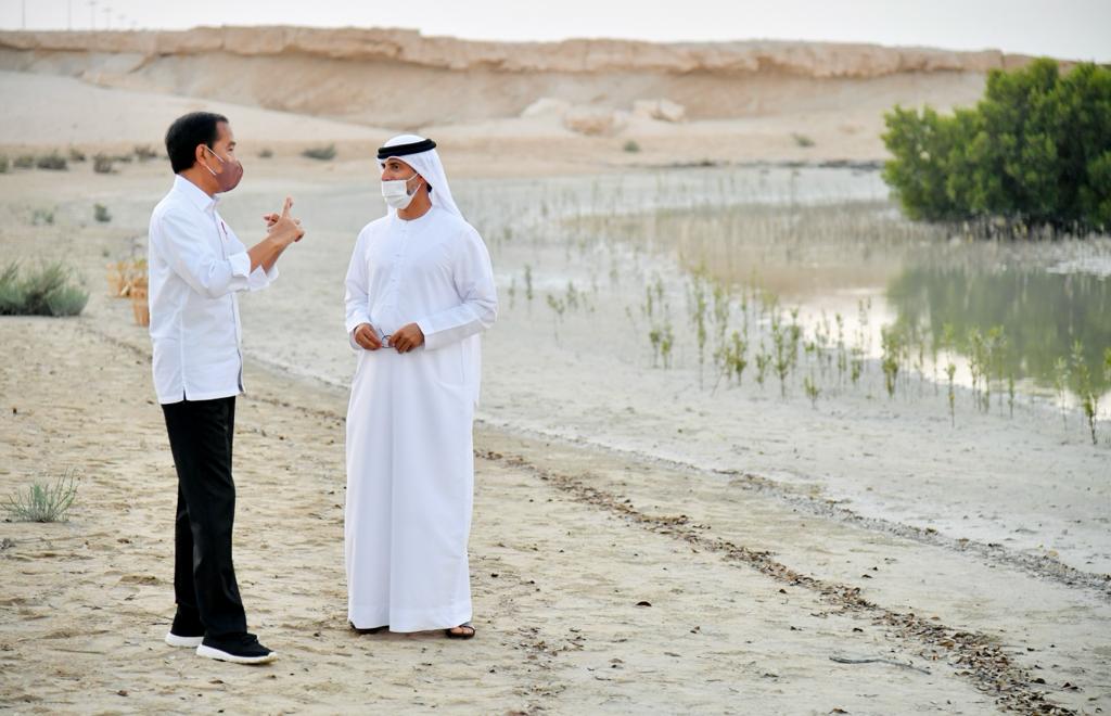 Indonesia-UEA Sepakat Kerja Sama Pengembangan Mangrove