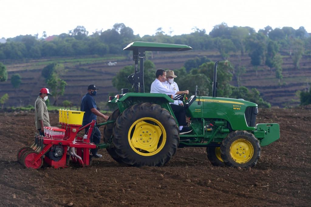 Jokowi saat melakukan penanaman jagung di Kabupaten Jeneponto, Sulawesi Selatan, Selasa (23/11/2021).
