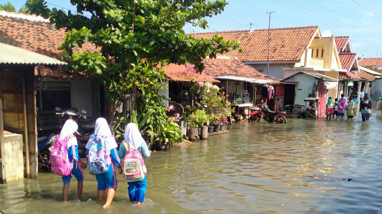 Banjir Rob Genangi Dua Desa di Brebes