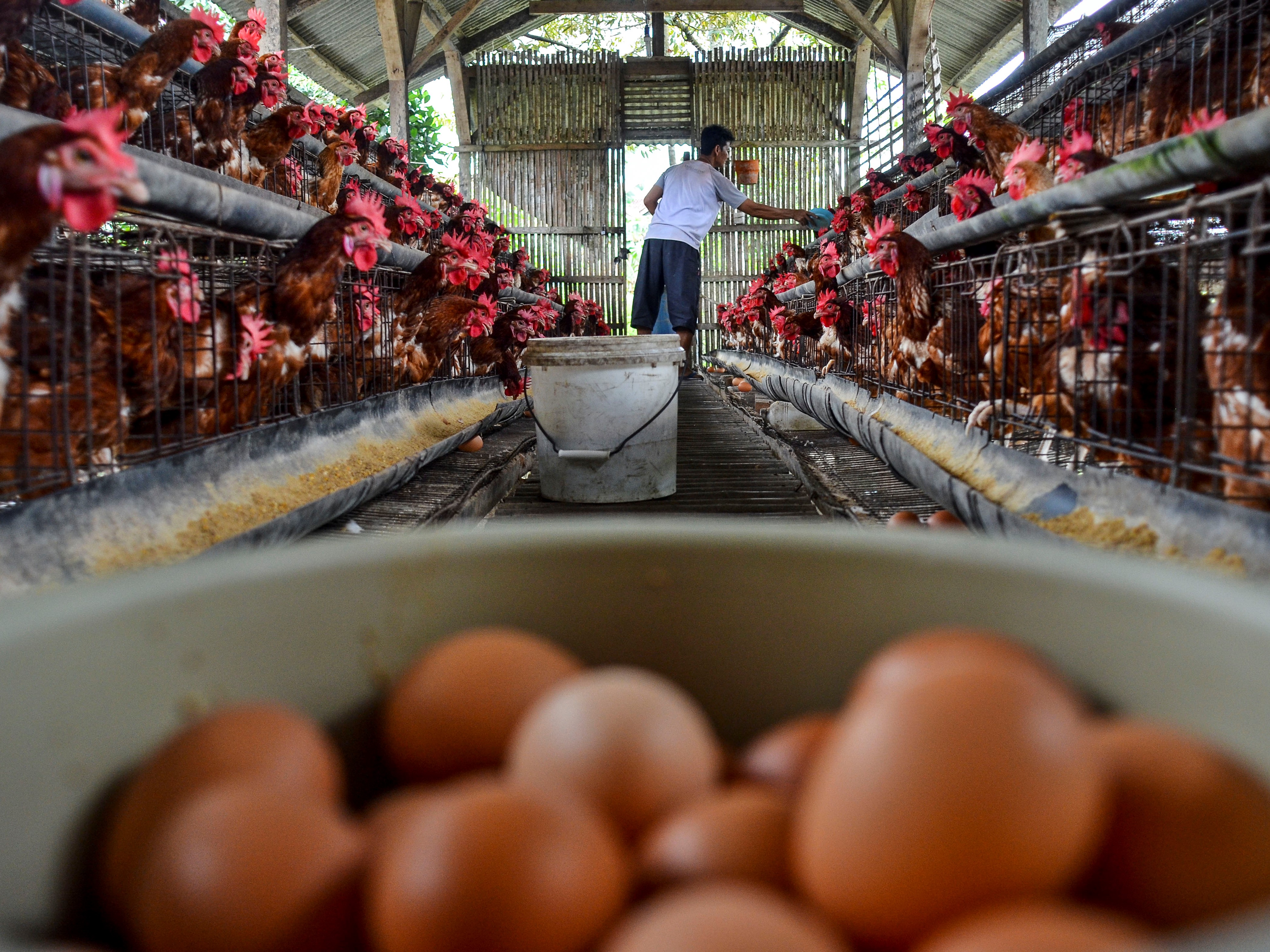 Konsumen kembali Optimistis pada Oktober