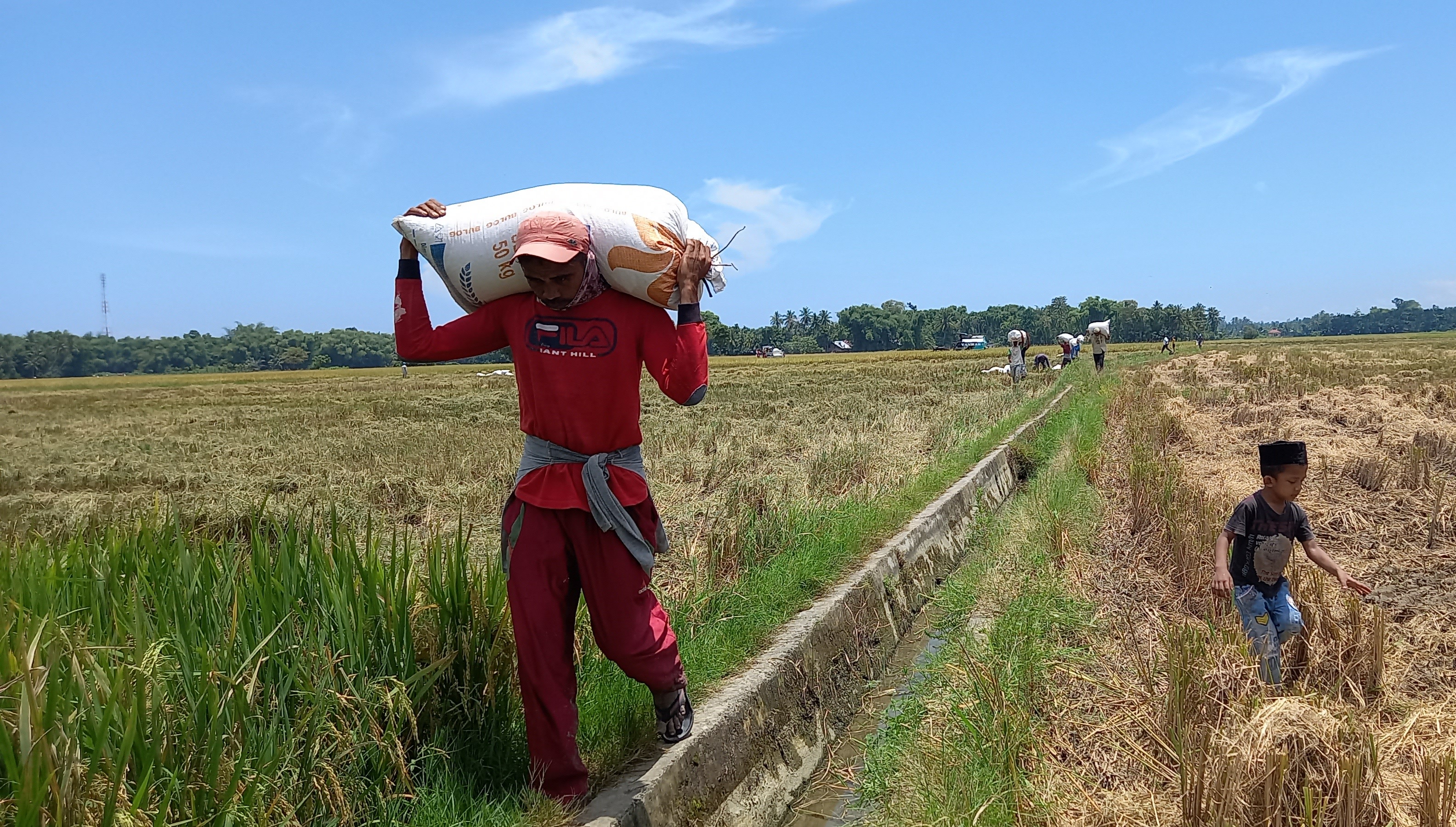 Menteri SYL Peringatkan Bahaya Kekeringan Usai Banjir