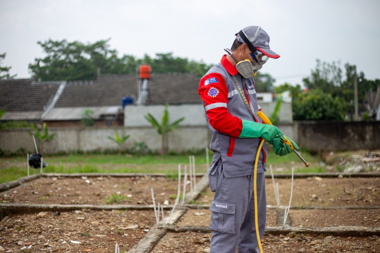 Ilustrasi mitigasi serangan rayap di struktur bangunan rumah