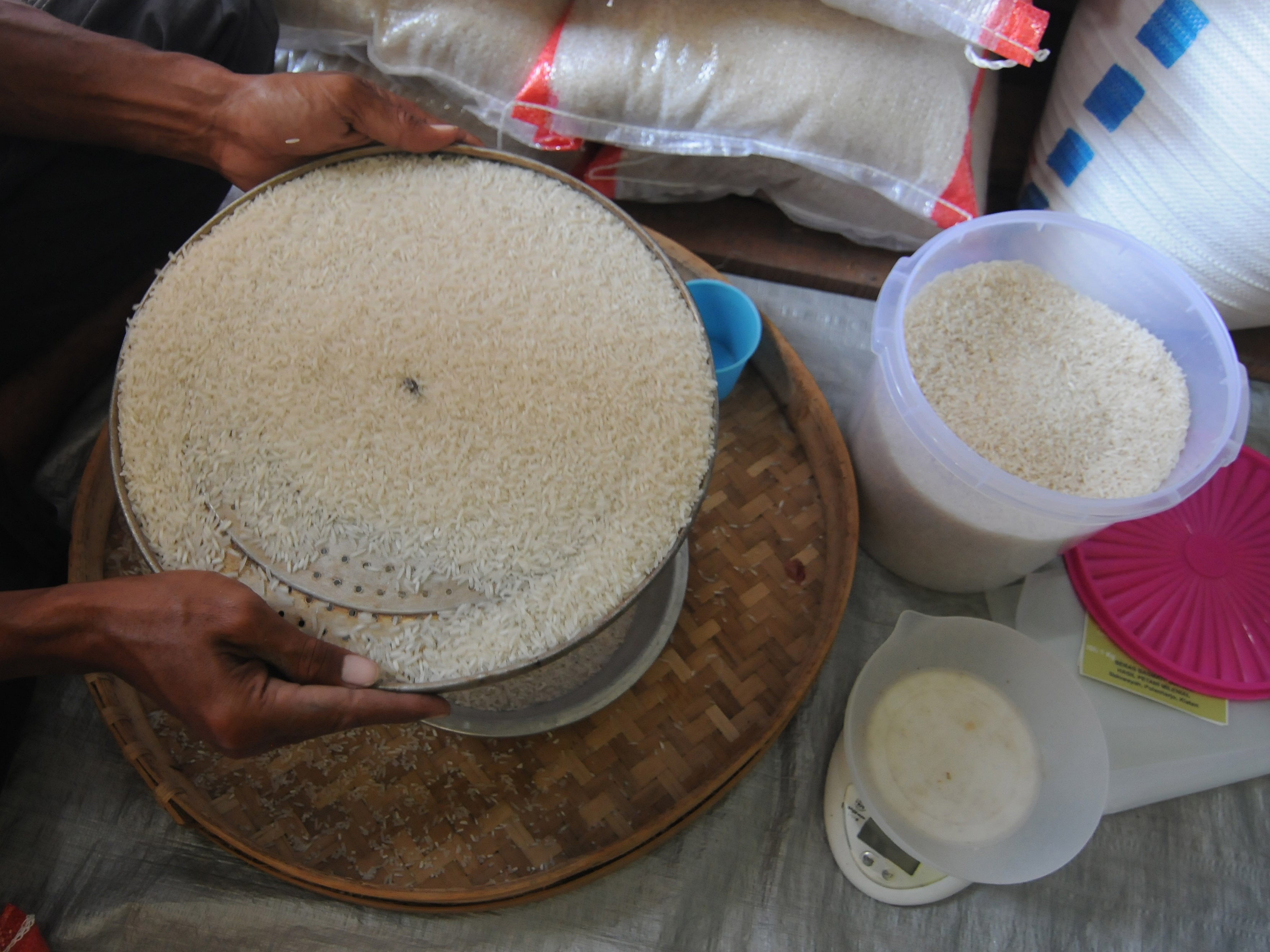 Harga Beras Indonesia Konsisten Lebih Mahal dari Dunia