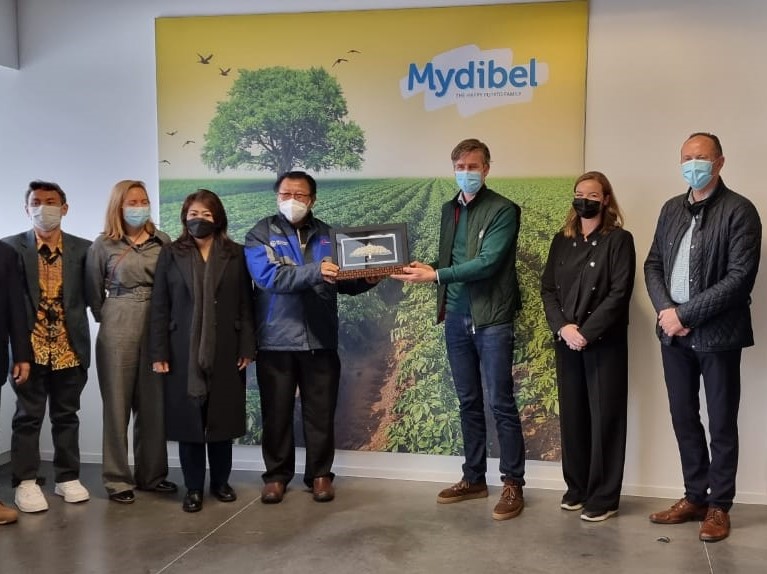 Terdapat 33 jenis produk kentang yang diproduksi oleh NV Mydibel, beberapa di antaranya sudah dijual oleh Pangansari Group di Indonesia.