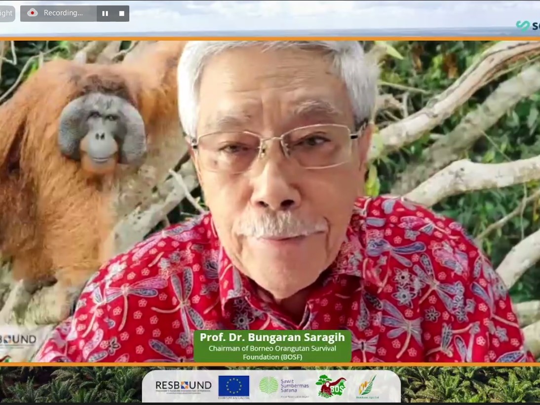 Dampak positif kelapa sawit bagi manusia, planet, dan kesejahteraan, bila ditanam menurut standar RSPO.