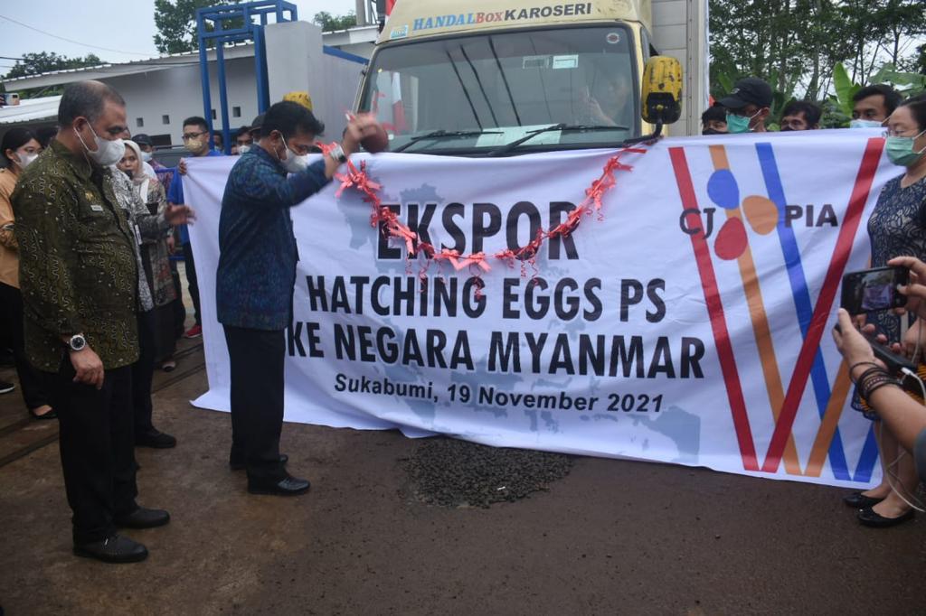 Mentan Syahrul Yasin Limpo melepas ekspor telur tetas Parents Stock Ayam Broiler dari PT. CJ PIA ke Myanmar pada Jumat (19/11).