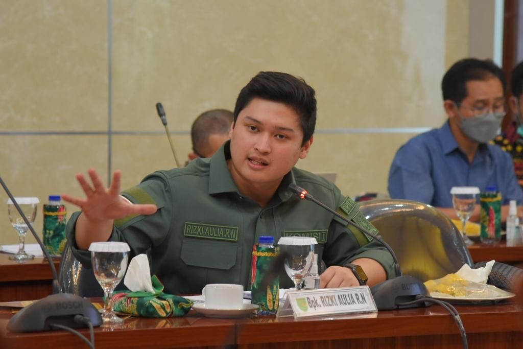 Anggota Komisi I DPR Rizki Aulia