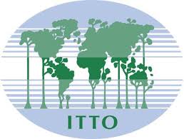 Logo ITTO