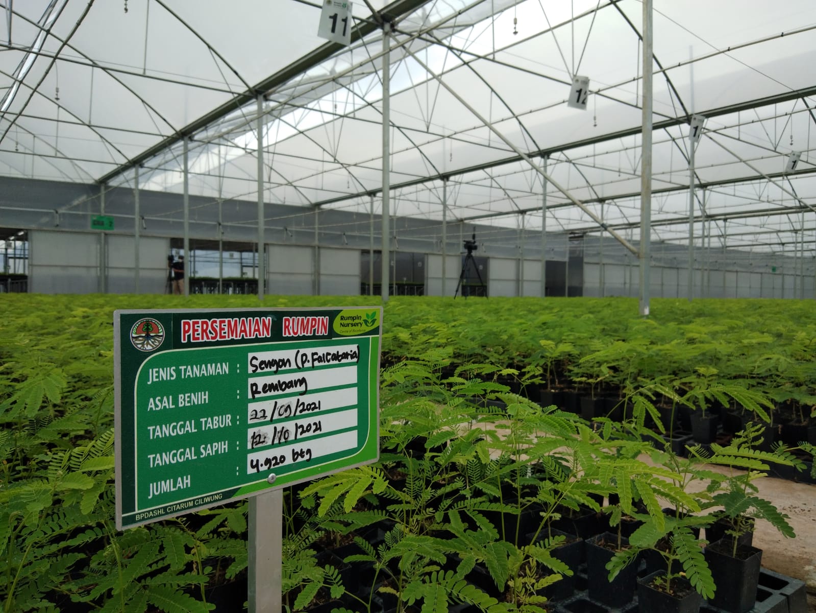 Presiden Tinjau Persemaian Rumpin