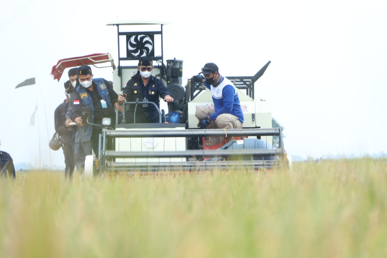 Mentan Dorong Kabupaten Karawang Jadi Percontohan Tiga Kali Panen