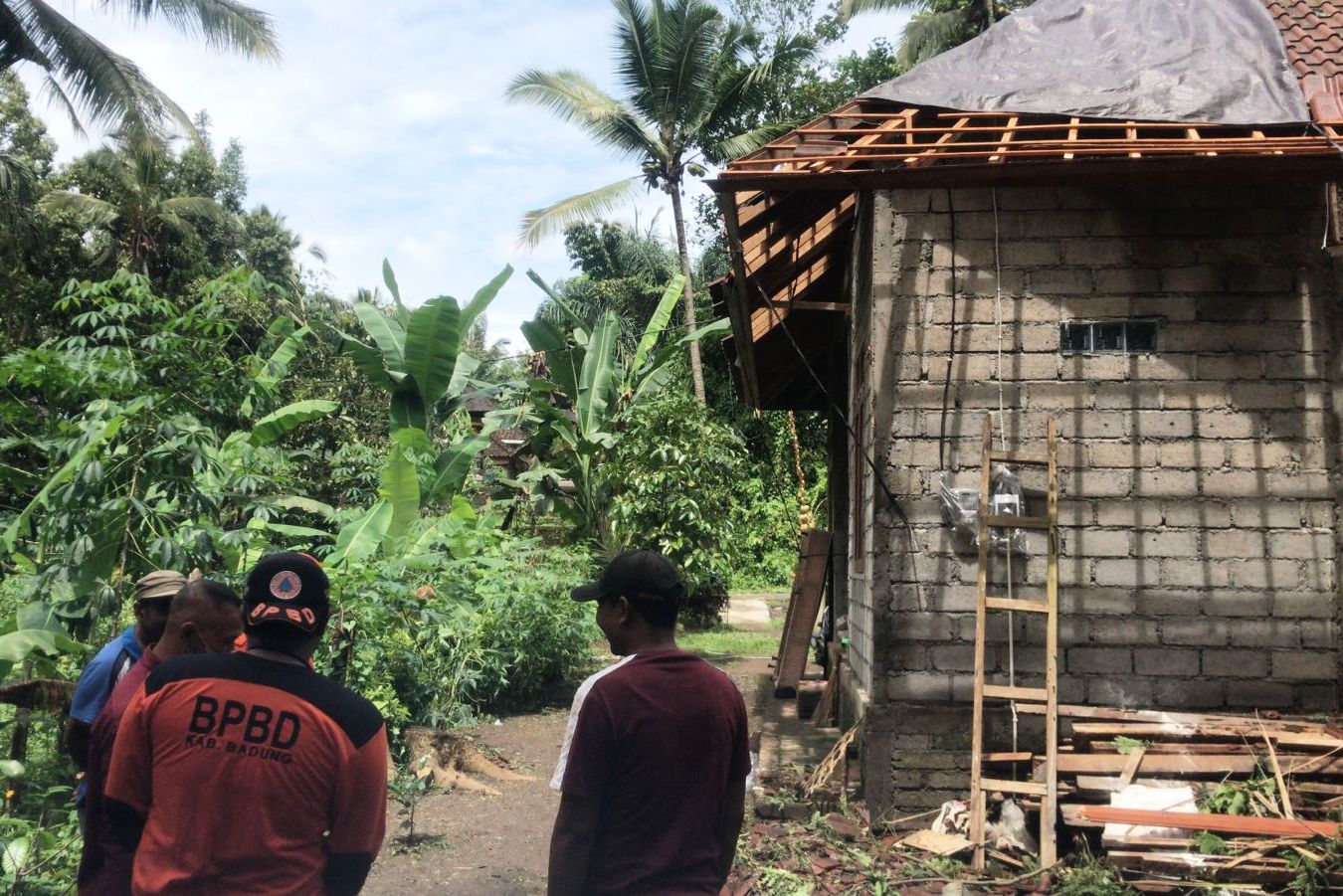 Hujan Picu Pohon Tumbang dan Tembok Roboh di Kabupaten Badung, Bali
