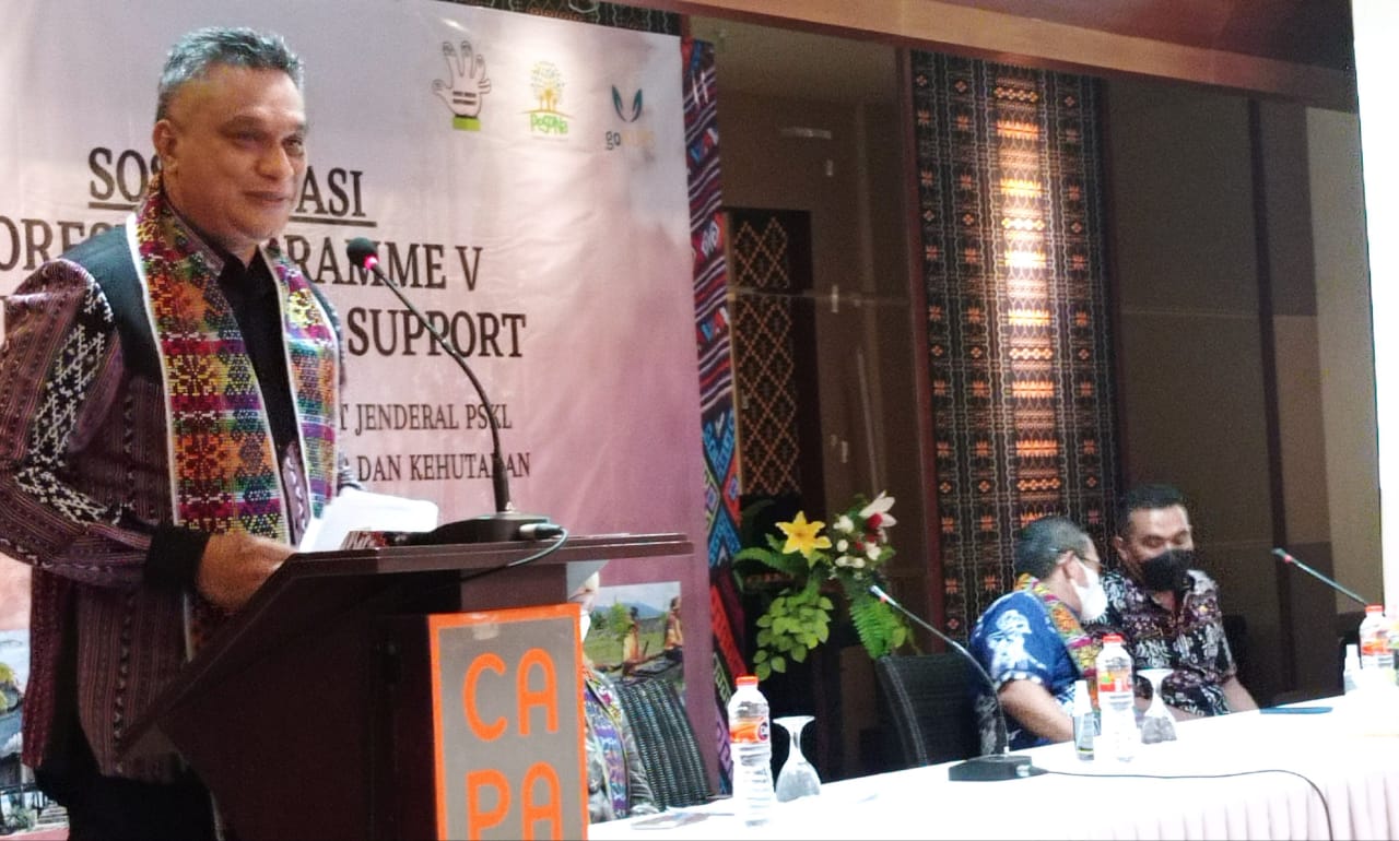 Bupati Sikka Fransiskus Roberto Diogo 