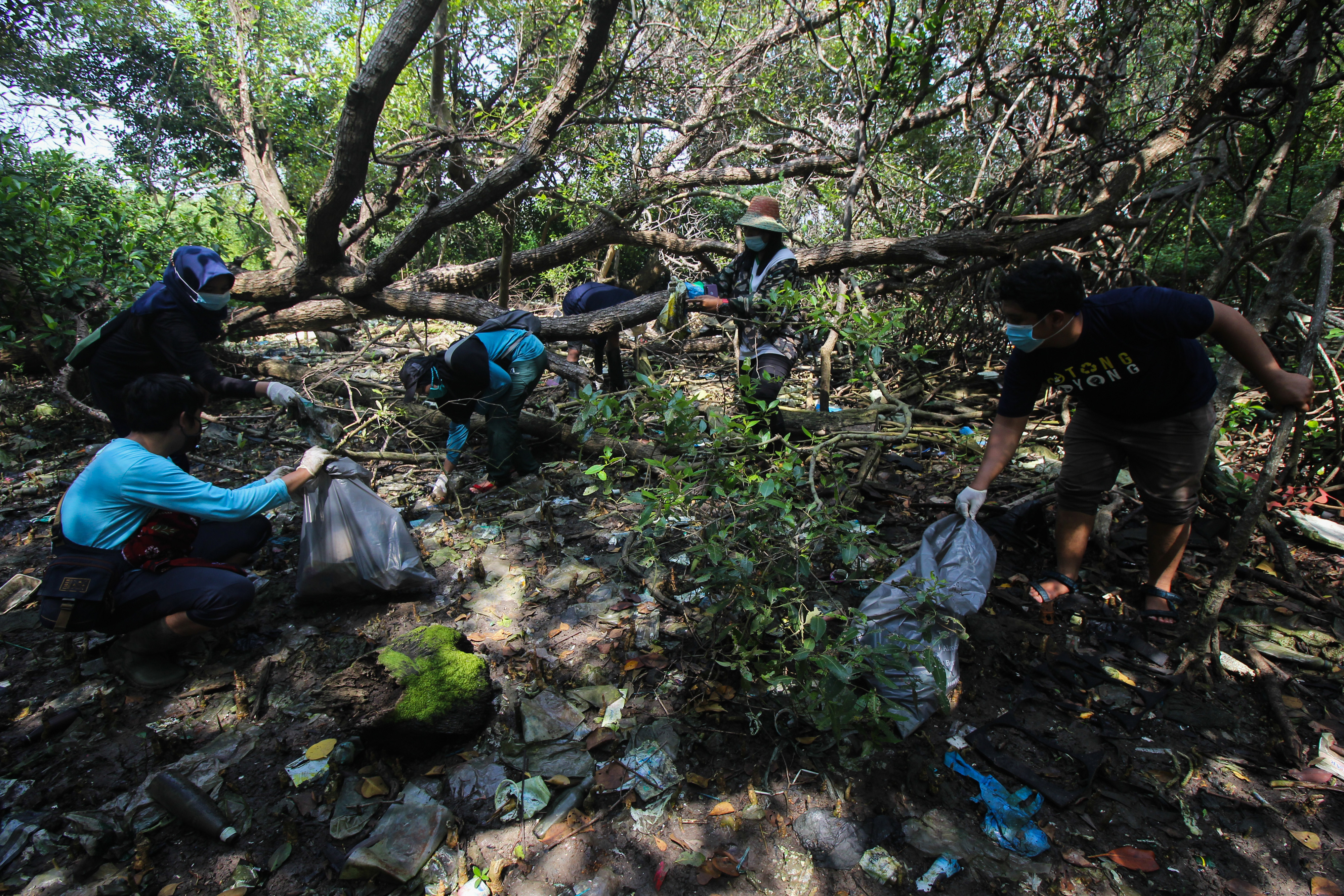 Aktivis lingkungan membersihkan sampah di hutan Mangrove Womorejo, Jawa Timur