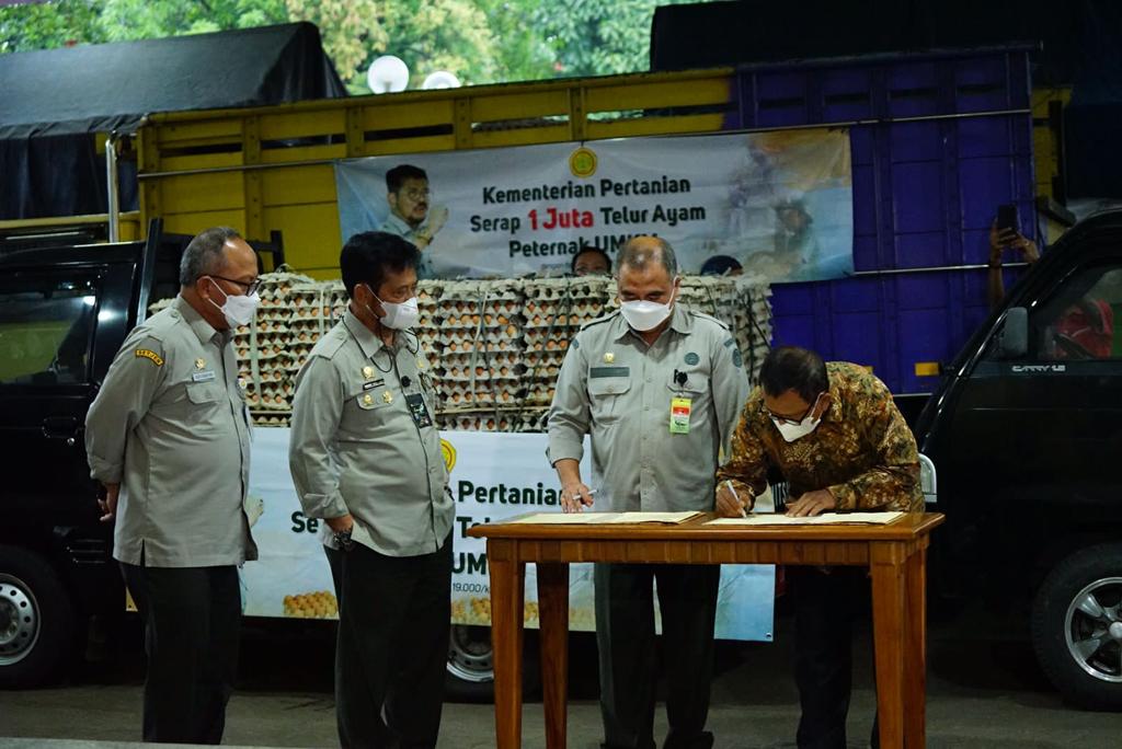 Mentan Syahrul Yasin Limpo menyaksikan panandatangan penyerapan telur dari peternak rakyat.  