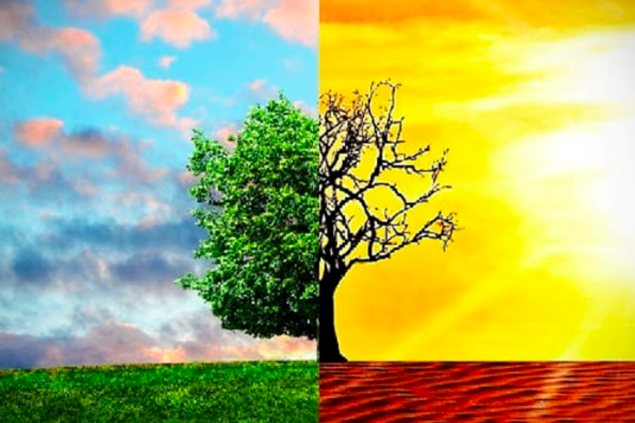 ilustrasi perubahan iklim