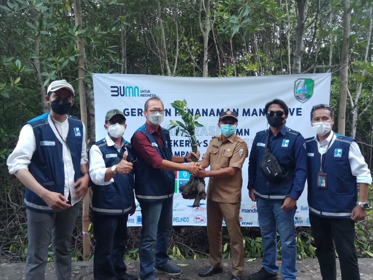 Kolaborasi 25 BUMN Dukung Rehabilitasi Mangrove di Sampang