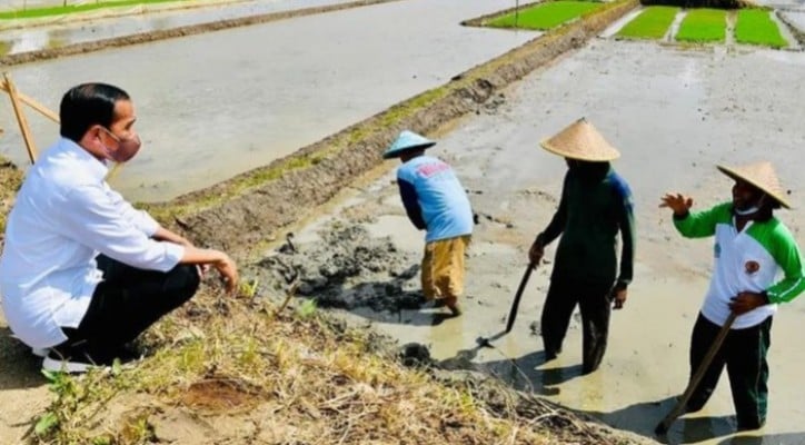 Presiden Joko Widodo berbincang dengan petani di Kecamatan Karangan, Kabupaten Trenggalek, Jatim, Selasa (30/11).