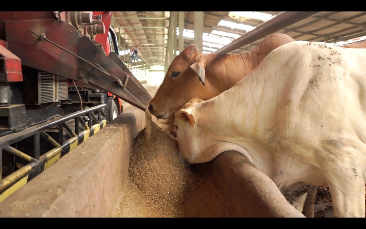 Salah satu fasilitas milik Widodo Makmur Perkasa. Widodo Makmur mengatakan Sinar Daging Perdana bukan bagian dari perseroan. 