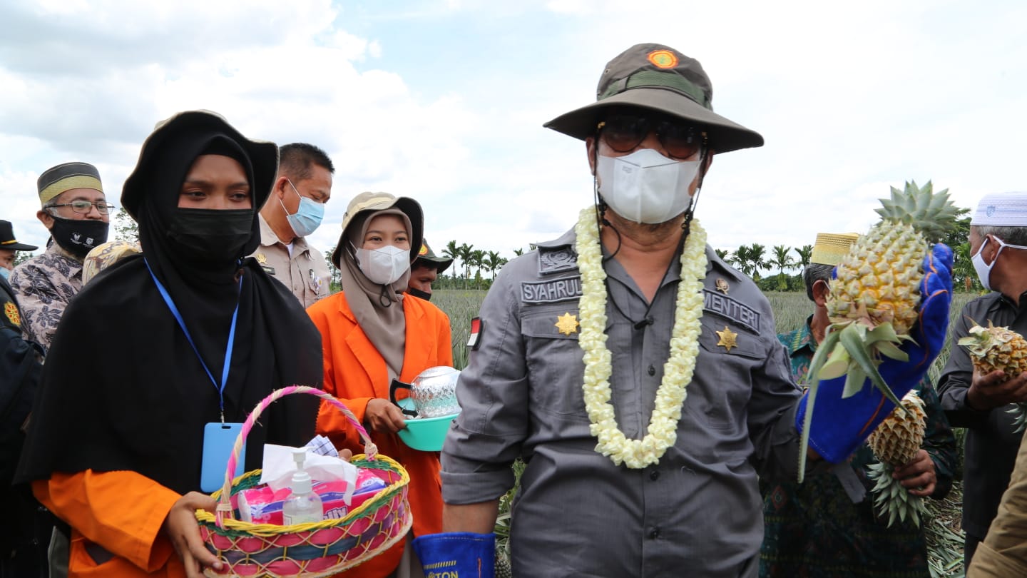 Mentan Syahrul Yasin Limpo melakukan kunjungan di perkebunan nenas di Desa Tangkit Baru Kecamatan Sungai Gelam Kabupaten Muaro Jambi. 