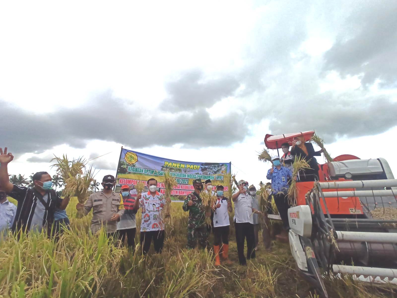  Panen kegiatan OPIP dilaksanakan Kelompok Tani Bawang Merah di Desa Kedaleman, Kecamatan Rogojampi, Banyuwangi, Jatim.