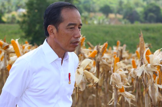 Presiden RI Joko Widodo.