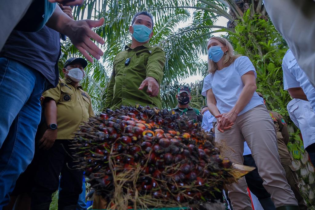 Ekspor Cangkang Sawit RI ke Jepang Capai Rp172 Miliar Per Tahun