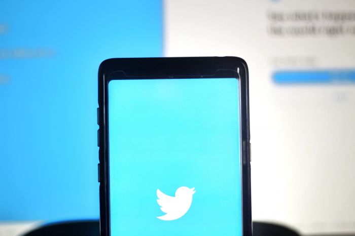 Twitter Bakal Perluas Akses Data Gratis untuk Pengembang Perangkat Lunak