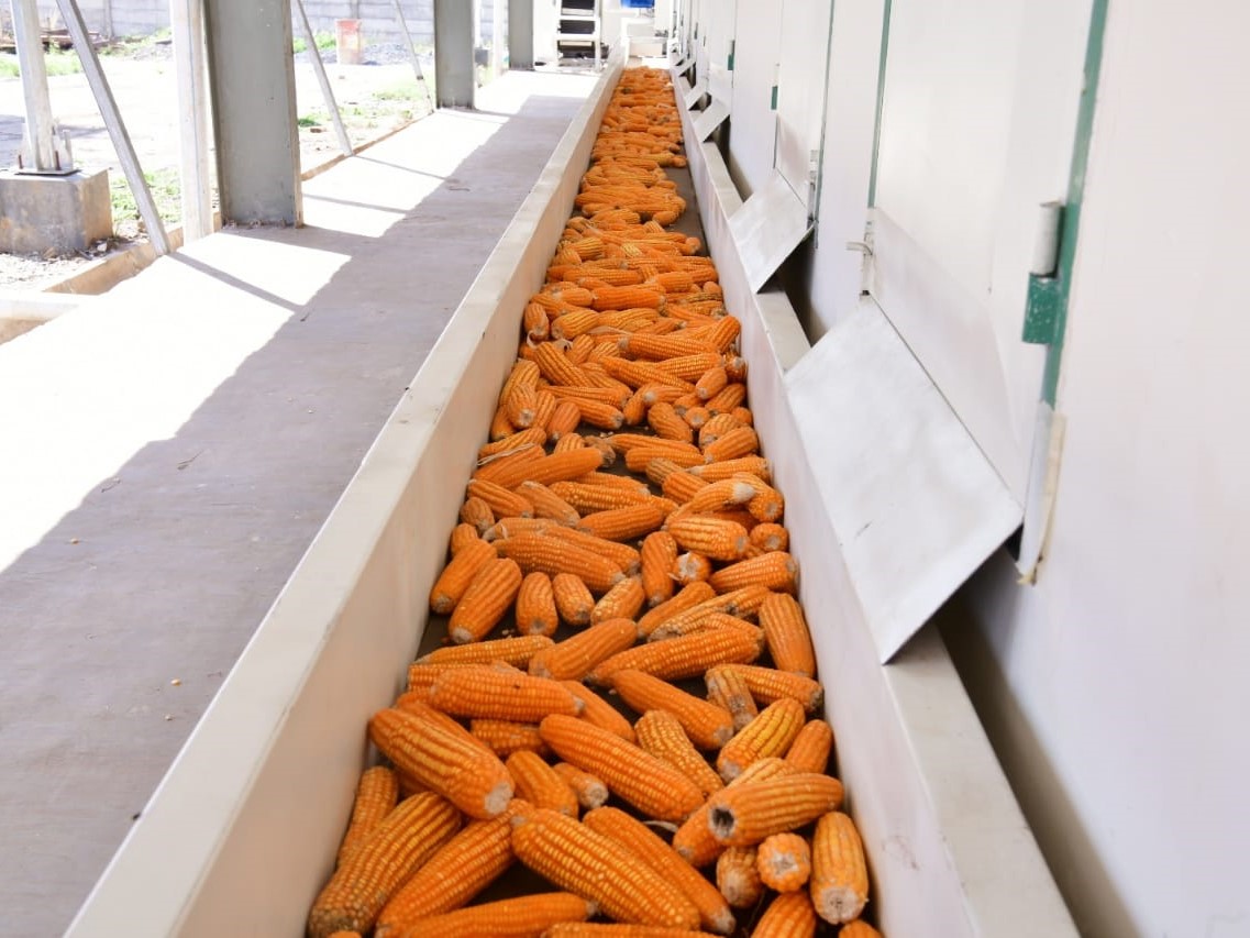 Pemerintah Provinsi Sulawesi Selatan menghadirkan mesin pengolahan benih jagung.