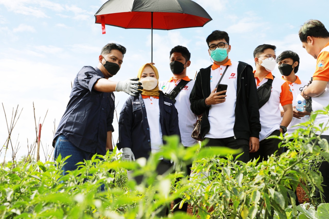 Penanaman pohon di Kawasan Desa Cikande, Bandung Barat, Jawa Barat.