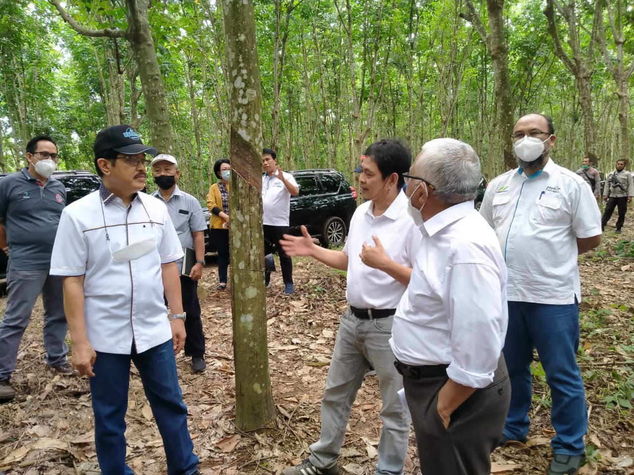 Direksi dan Komisaris PTPN VII saat meninjau kawasan kebun di Lampung
