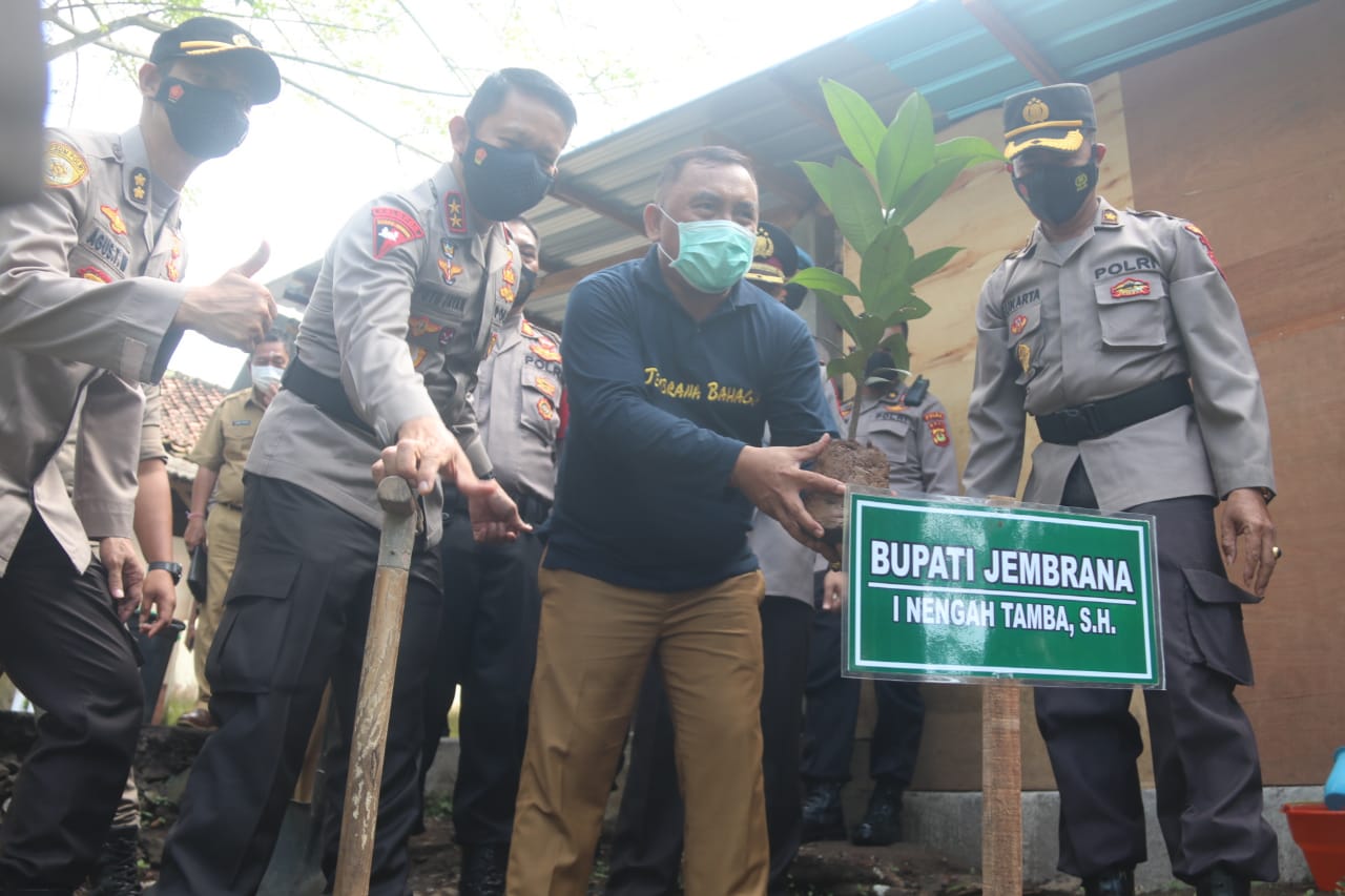  Bupati Jembrana I Nengah Tamba dan Kapolda Bali Irjen Pol Putu Jayan Danu Putra menanam bibit pohon manggis, Senin (15/11)