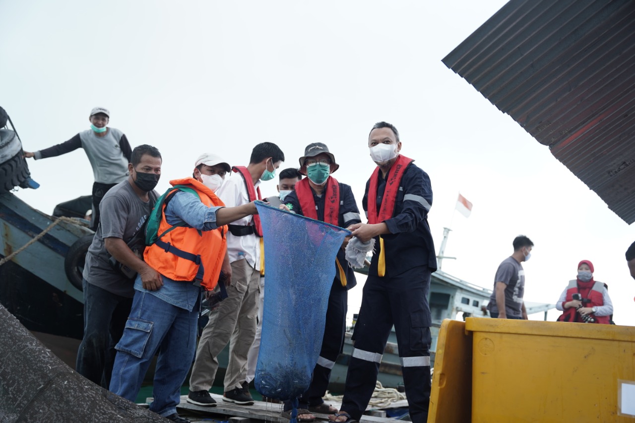Panen perdana PT Timah tbk menggandeng Univetrsitas Bangka Belitung dalam budidaya ikan dan udang di lokasi pertambangan laut, Kamis (28/10)