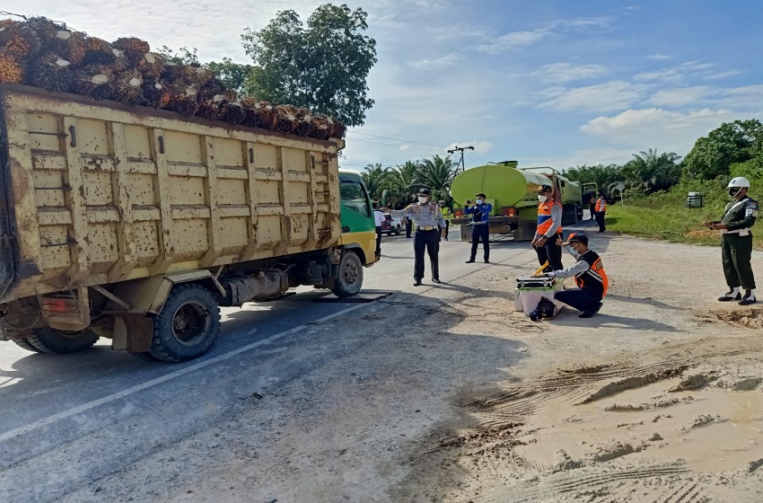 Tim Terpadu Penegakan melakukan penertiban terhadap kendaraan ODOL di Jalan Trans Kalimantan.
