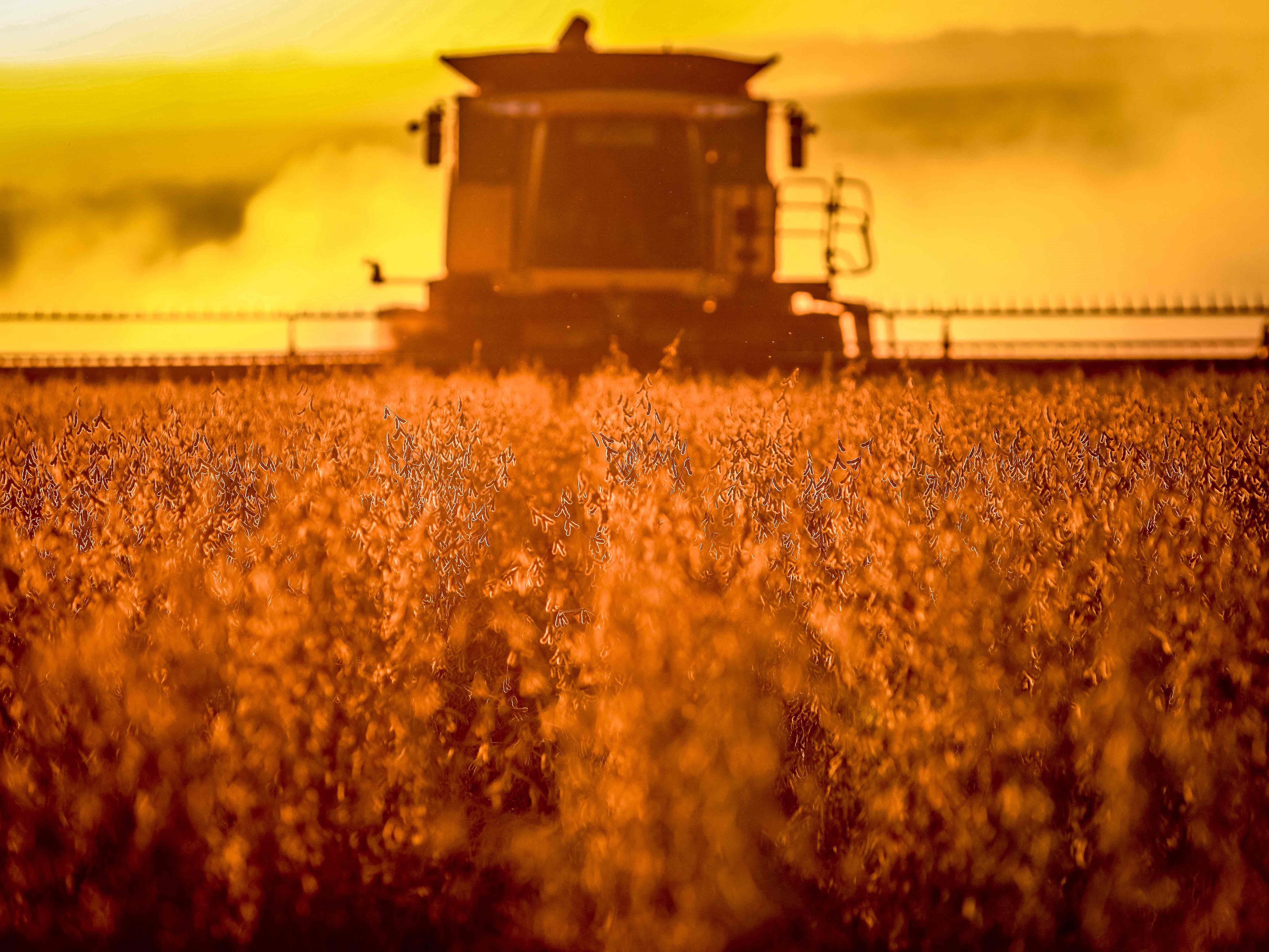 Panen gabungan tanaman kedelai di ladang, Salto do Jacui, Rio Grande do Sul, Brasil.