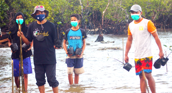 Utuk mencegah abrasi siswa SMP dan SMA di Pulau Obi Bacan menanam ribuan mangrove, Rabu (3/11)