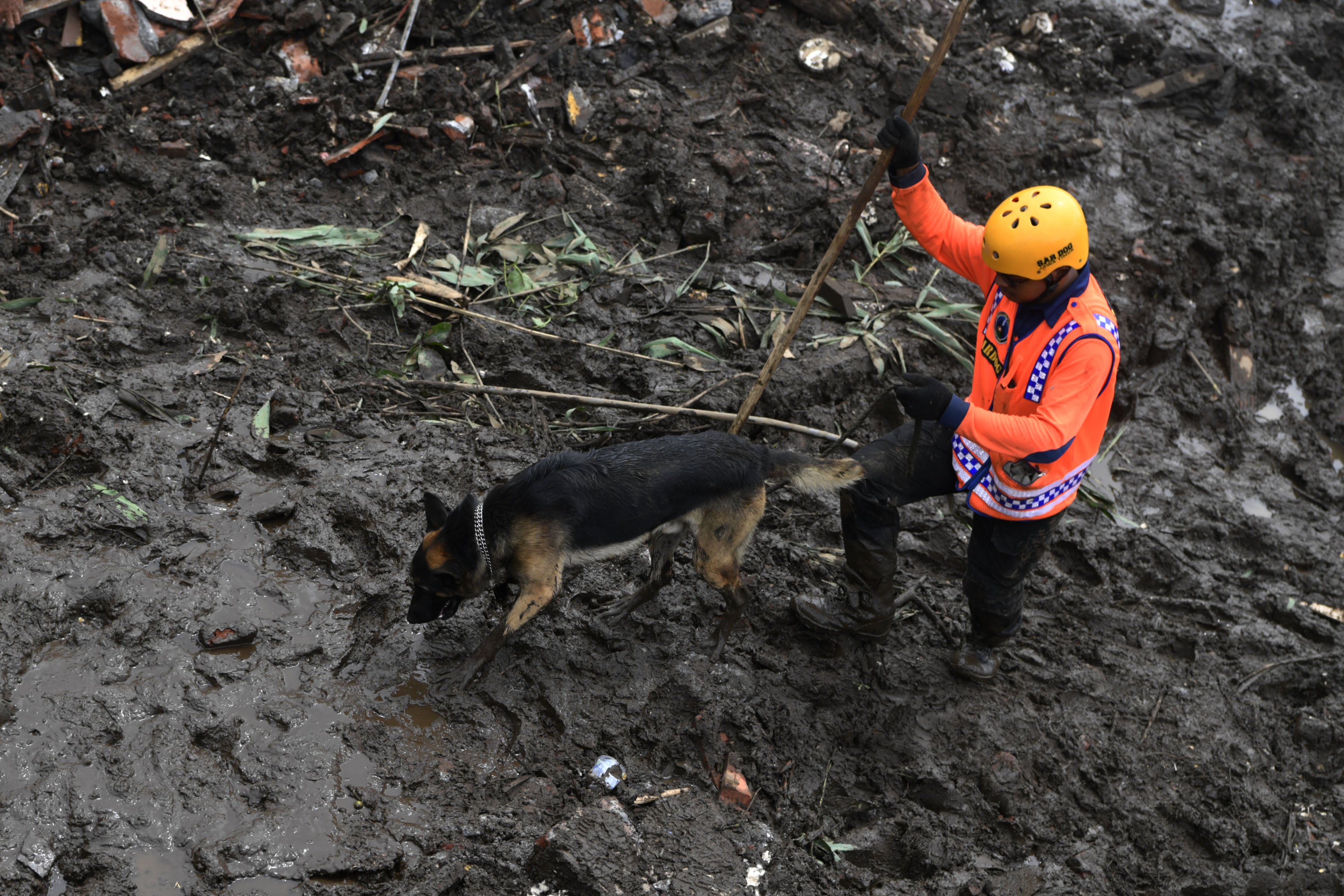 Tim SAR menggunakan anjing pelacak untuk mencari korban di antara reruntuhan rumah dan endapan lumpur akibat banjir bandang di Kota Batu.