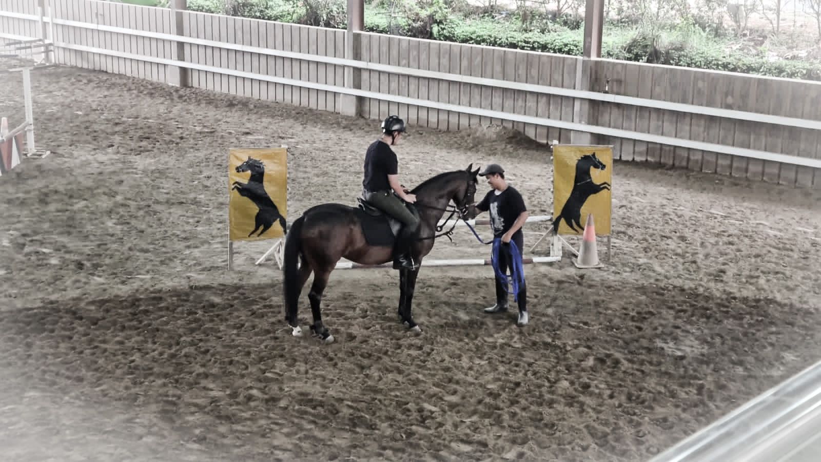 Olahraga berkuda memberi banyak manfaat untuk kesehatan dan kebugaran tubuh.