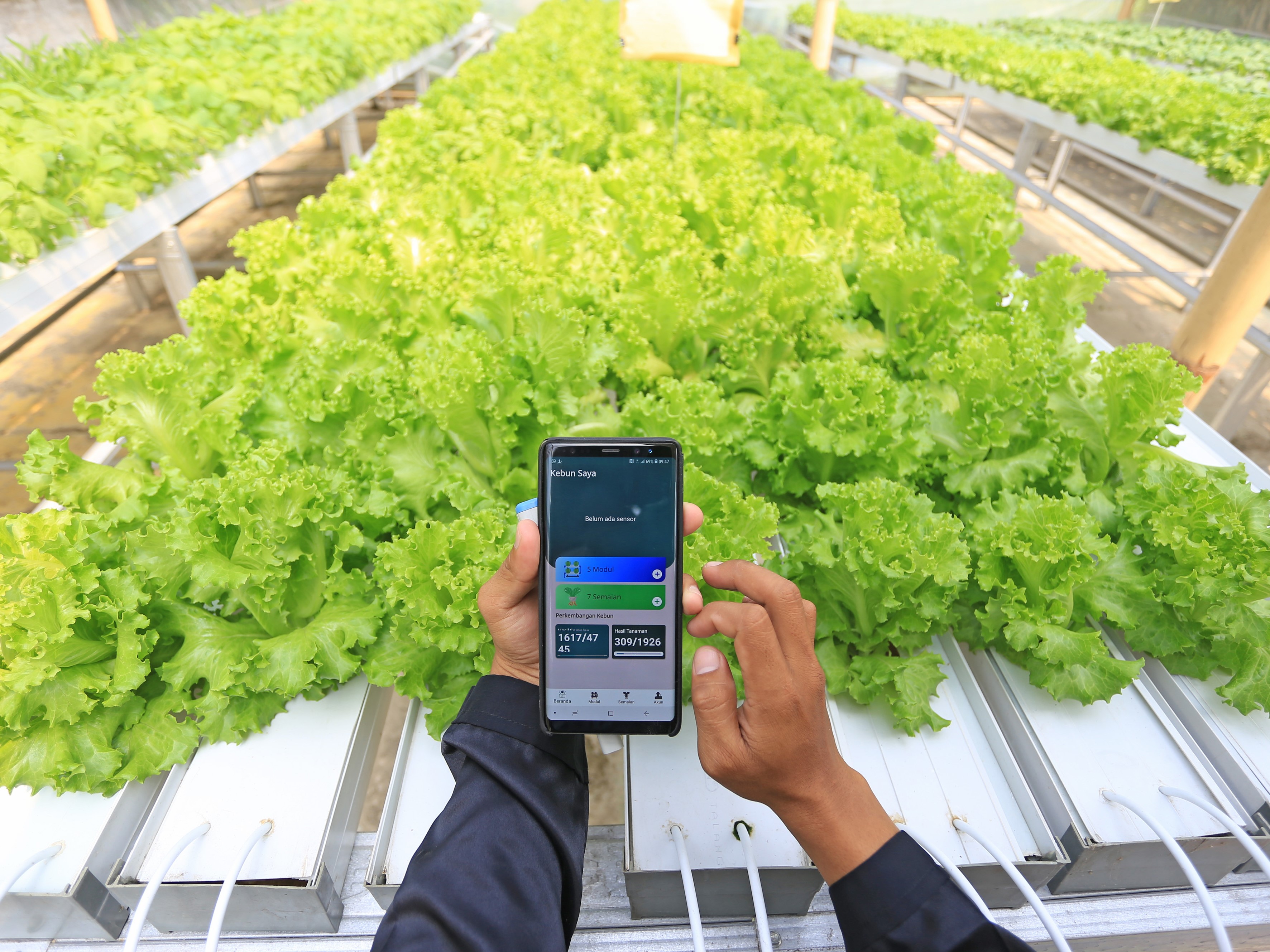 YAC Ajak Petani Muda Tingkatkan Komoditas Pertanian Bernilai Tambah