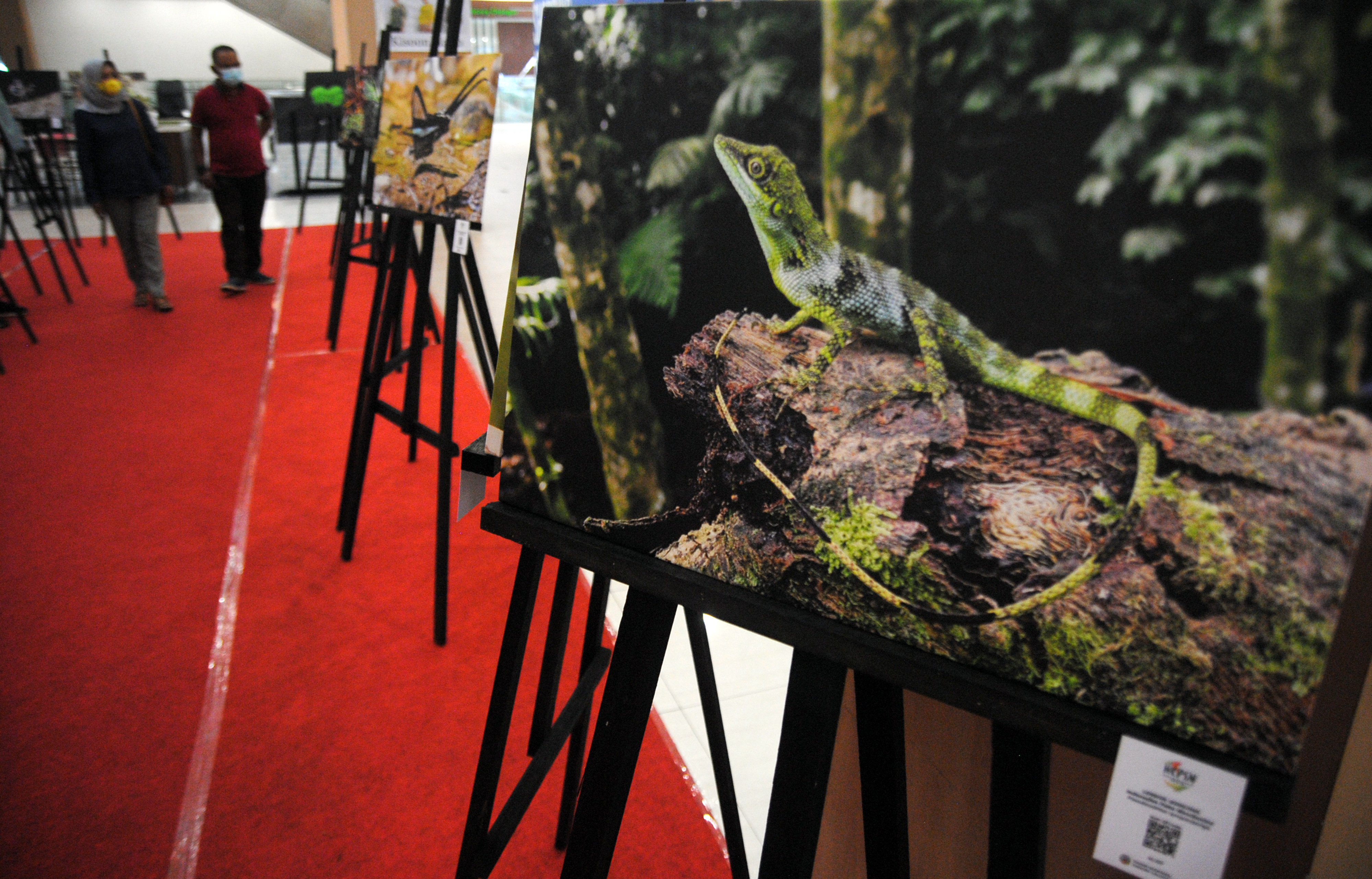 PAMERAN FOTO: Pengunjung mengamati pameran foto Puspa dan Satwa Indonesia di Mal Boxies123, Tajur, Kota Bogor, Jabar, Kamis (4/11)