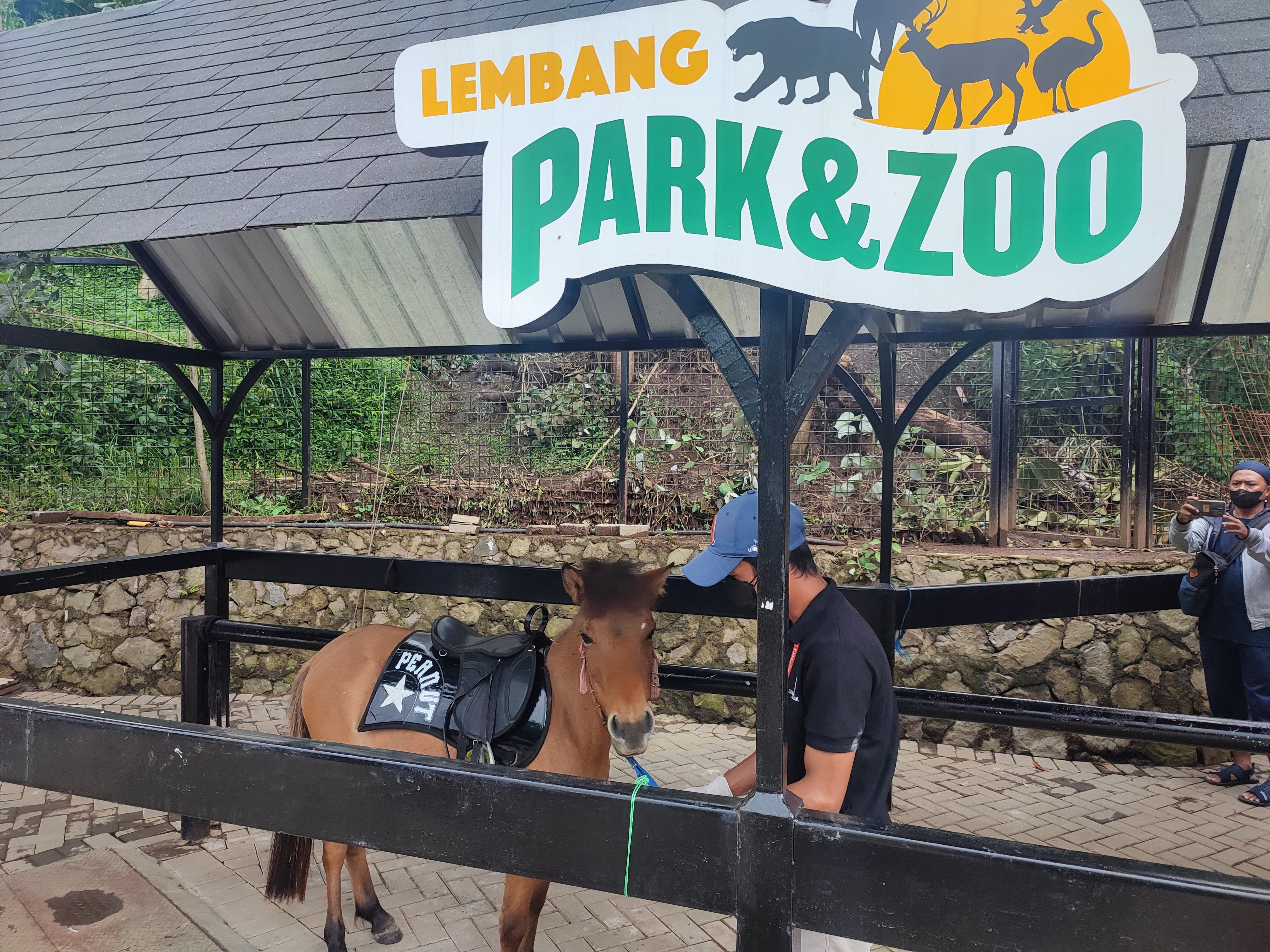 Kondisi kandang kuda di objek wisata Lembang Park and Zoo pascabanjir yang terjadi pada Selasa (2/11).