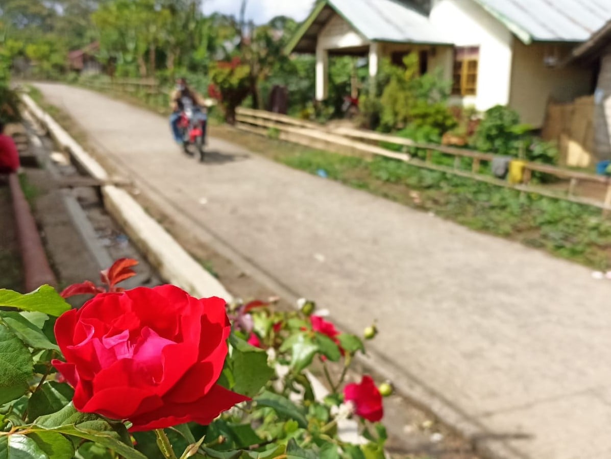 Kampung Mulakoli merupakan kampung sejarah yang punya catatan lisan dalam narasi sejarah Nagekeo.