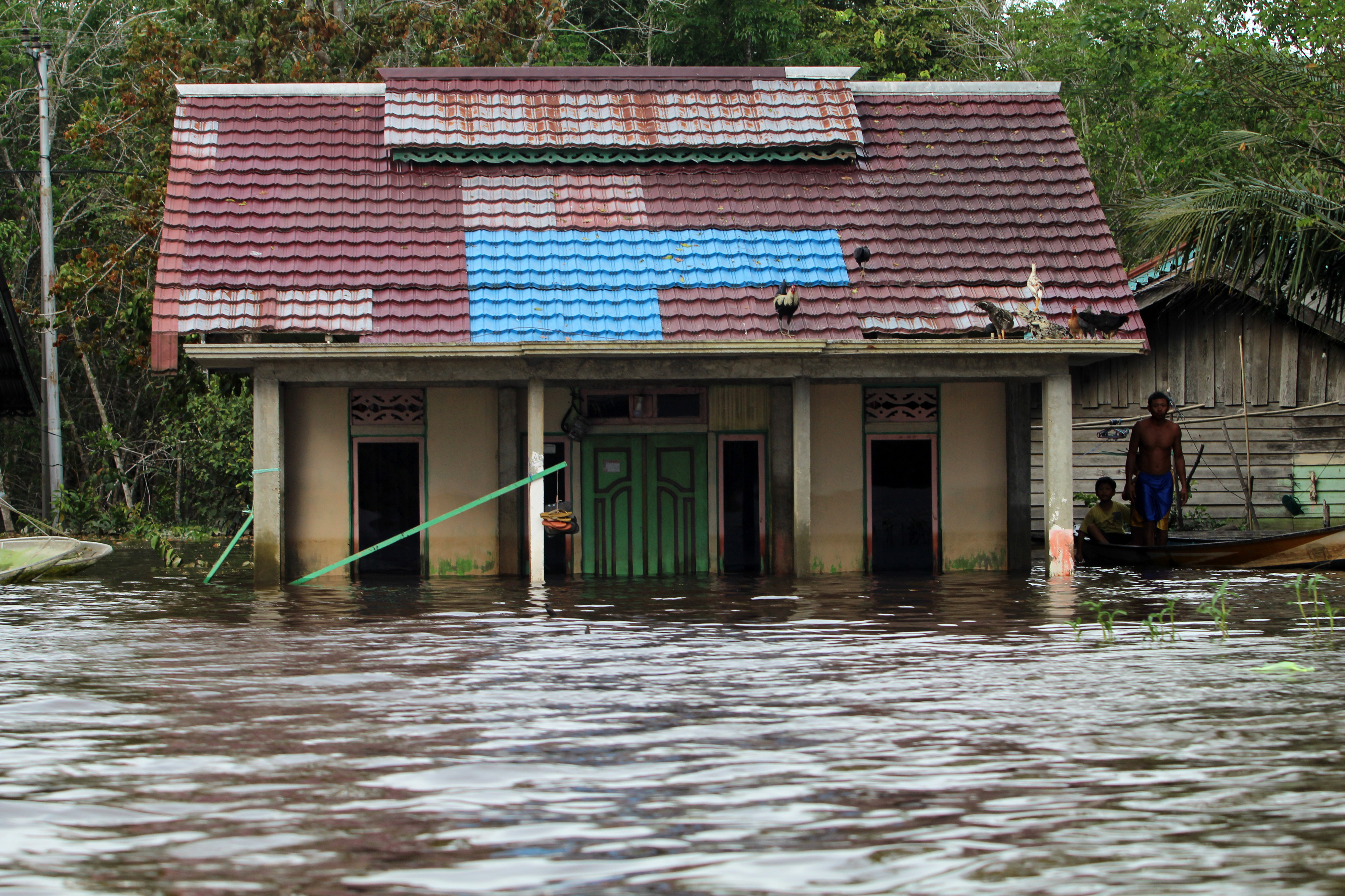 Rumahnya warga tenggelam karena Banjir di Kota Sintang, Kalimantan Barat