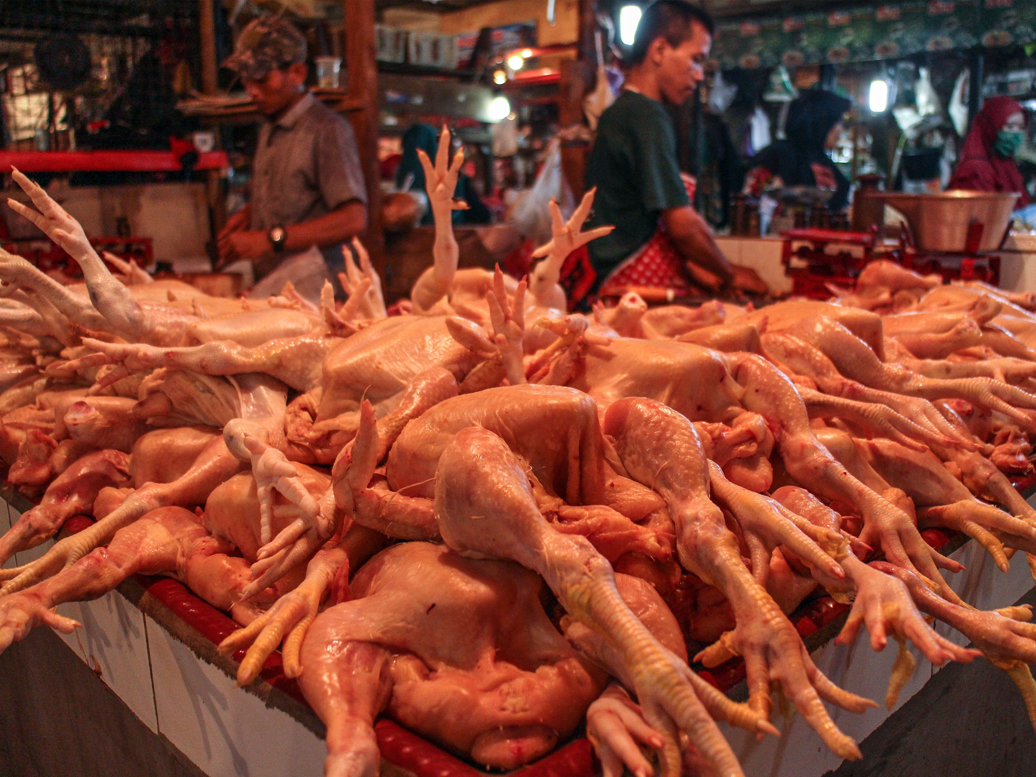  Pedagang ayam potong menunggu pembeli di Pasar Cibinong, Kabupaten Bogor, Jawa Barat, Senin (1/11).