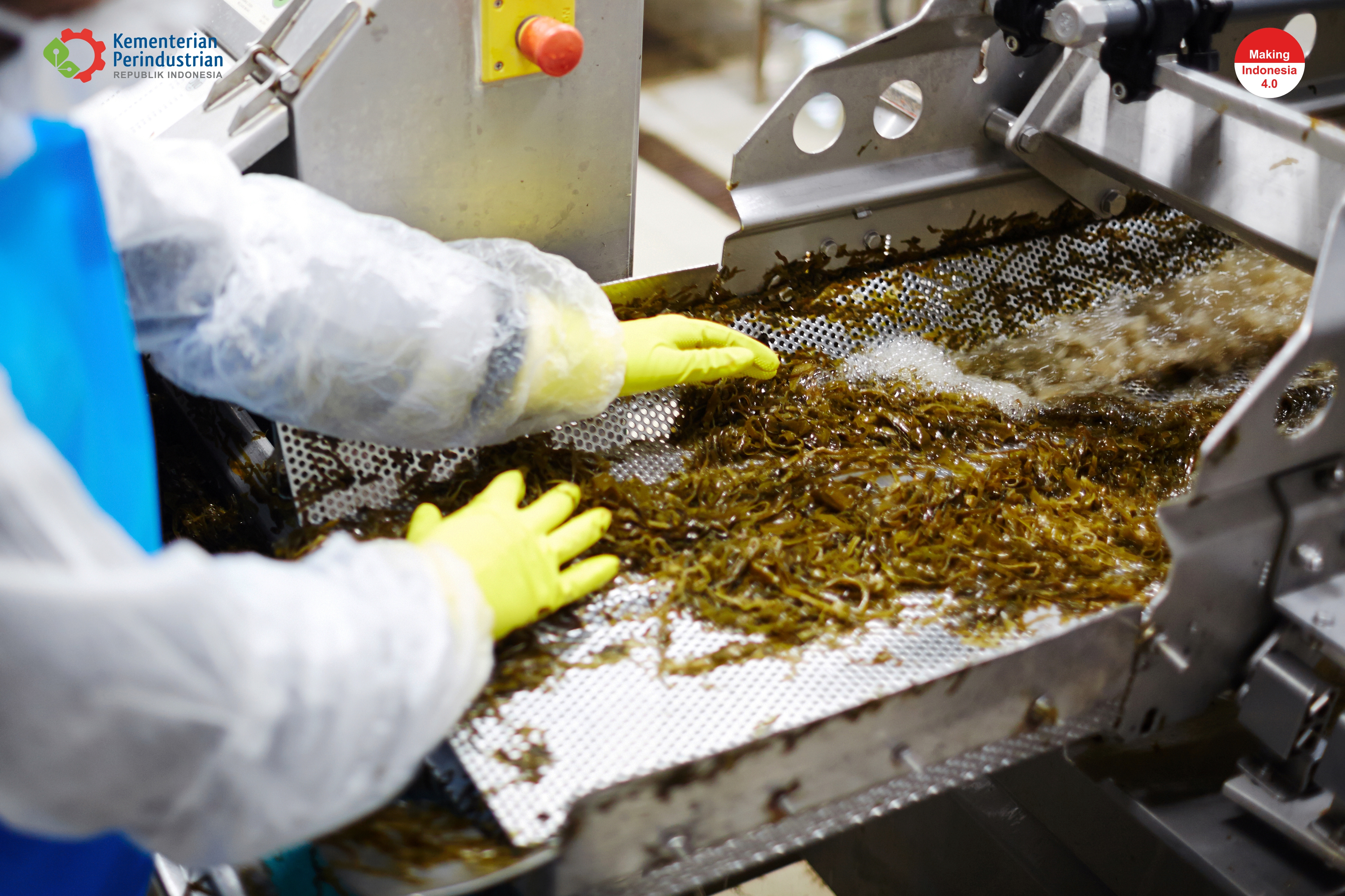 Saat ini @kemenperin_ri sedang mengoptimalkan peran industri pengolahan rumput laut, agar memiliki produk turunan yang memiliki pangsa pasar