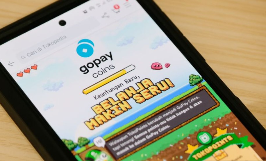 GoPay Coins