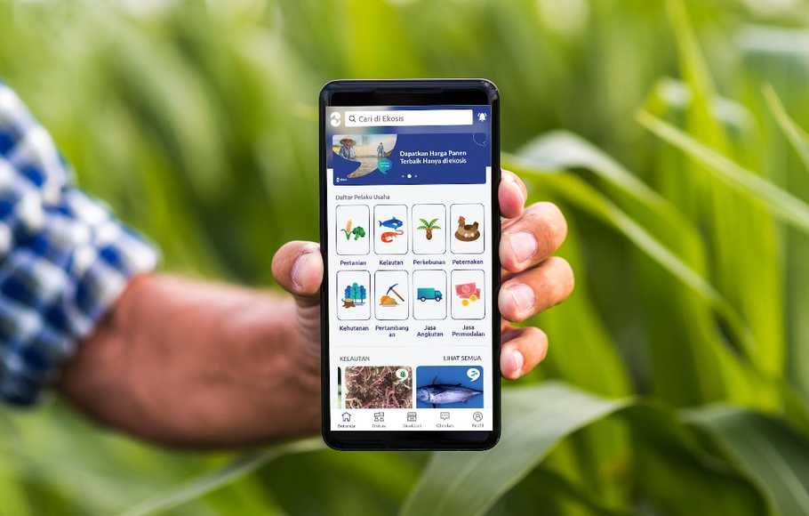 Aplikasi Ekosis yang membantu agribisnis di Kabupaten Belitung.